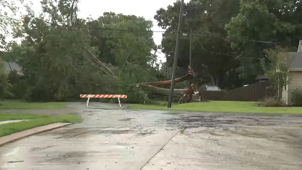 DEVELOPING: Rain moves in, tree and power lines come down